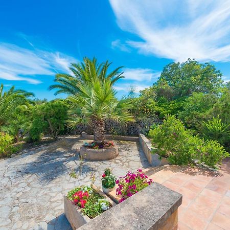 Barcelo-Danus Villa Пуерто Колом Екстериор снимка